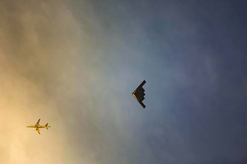 leisure activities black bird flying on sky during daytime animal